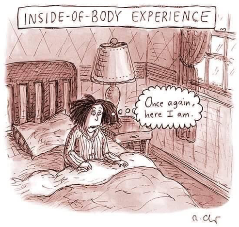 Frazzled middle aged woman string up in bed thinking “Once again, here I am.”