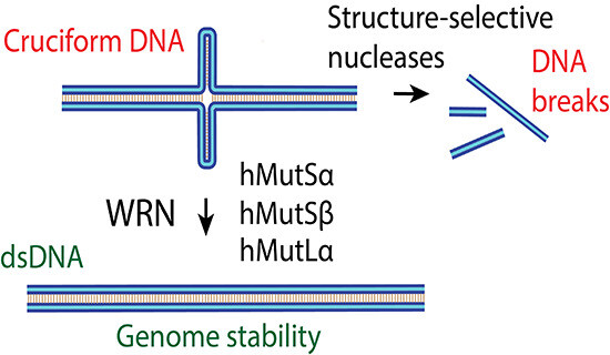 Schematic visualization of the article's synopsis