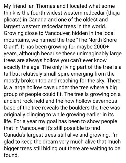 My friend lan Thomas and I located what some think is the fourth widest western redcedar (thuja plicata) in Canada and one of the oldest and largest western red cedar trees in the world. Growing close to Vancouver, hidden in the local mountains, we named the tree "The North Shore Giant". It has been growing for maybe 2000+ years, although because these unimaginably large trees are always hollow you can't ever know exactly the age. The only living part of the tree is a tall but relatively small spire emerging from the mostly broken top and reaching for the sky. There is a large hollow cave under the tree where a big group of people could fit. The tree is growing on a ancient rock field and the now hollow cavernous base of the tree reveals the boulders the tree was originally clinging to while growing earlier in its life. For a year my goal has been to show people that in Vancouver it's still possible to find Canada's largest trees still alive and growing. I'm glad to keep the dream very much alive that much bigger trees still hiding out there are waiting to be found.

Instagram.com/ancient_trees_of_vancouver/