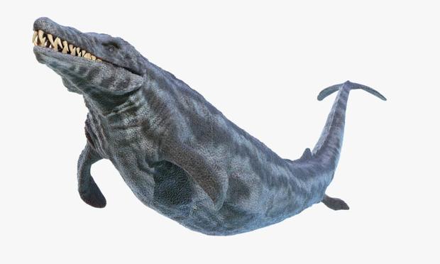 Drawing of basilosaurus with a very long body and a head resembling a crocodile's