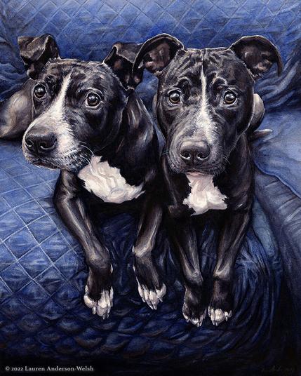 A watercolor painting of two pit-type black-and-white dogs, named Eddie & Willow, sitting together on a couch with a blue quilted blanket.