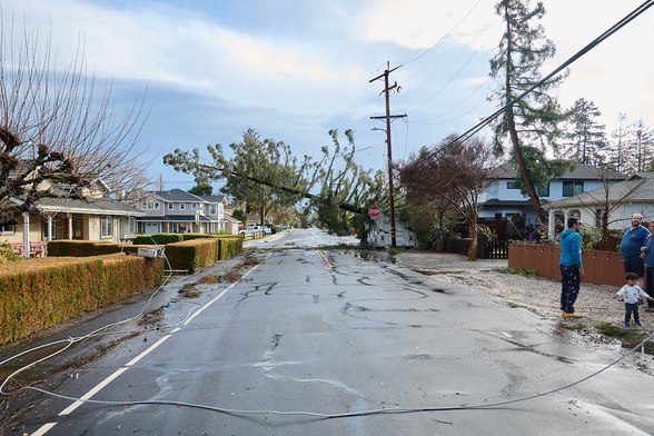 Tall Redwood tree felled in high winds lays hovering over a residential street. It’s being held up by a partially crushed RV parked on the side of the road. Also visible are snapped cables on the ground and lots of shallow puddles.