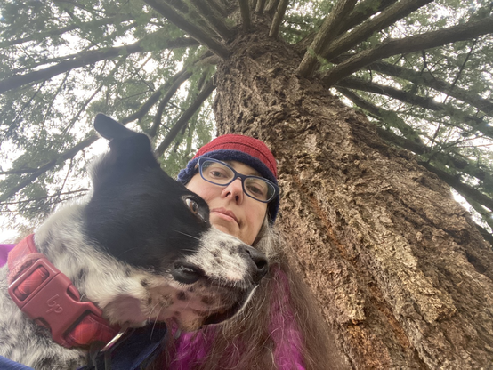 Selfie of human wrangling dog who is trying to escape from photo in front of tall tree dog is border collie Dalmatian cross