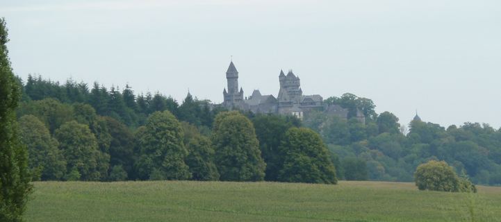 Schloss Braunfels, Sommer 2019. Blick über grüne Weide, dannLaubbäume, links ragen Dunkler Tannen drüber, überragt von Schossgebäuden un -türmen