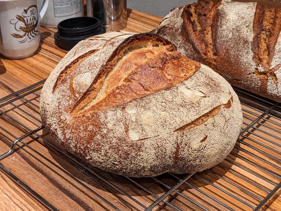Rundes und der Mitte aufgerissenes Brot mit heller Kruste auf Ofenblech