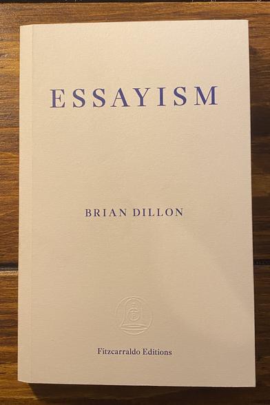 Book cover of Essayism by Brian Dillon