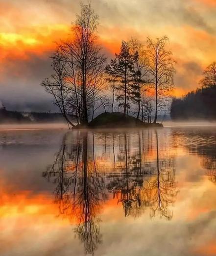 Finland. An island with trees in the middle of the lake. Sunset.