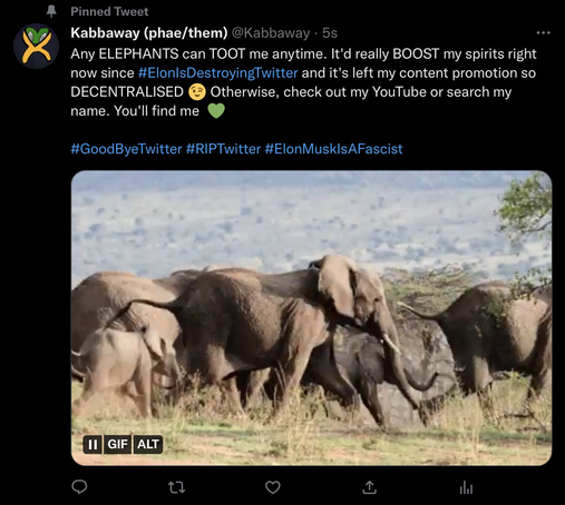 Screenshot of a pinned tweet by @Kabbaway on Twitter: “Any ELEPHANTS can TOOT me anytime. It'd really BOOST my spirits right now since #ElonIsDestroyingTwitter and it's left my content promotion so DECENTRALISED 😉 Otherwise, check out my YouTube or search my name. You'll find me 💚
#GoodByeTwitter #RIPTwitter #ElonMuskIsAFascist”
Underneath the text is a GIF of an elephant herd stampeding over the crest of a grassy hill.