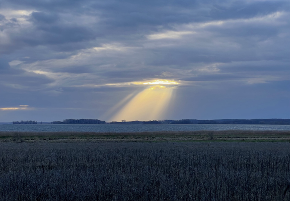 Die untergehende Abedsone sendet ein paar Strahlen durch ein Wolkenloch a sonst bedeckten Himmel über der Lagune Achterwasser.