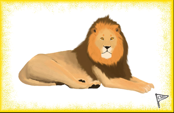 lion resting with a yellow or gold background