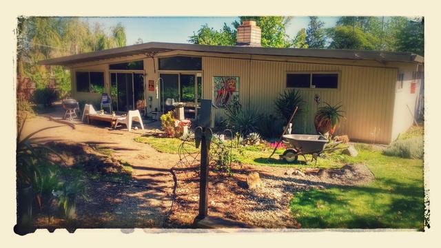 View of the back of a mid century modern Streng home with rectangular windows. The house and garden are sunlit with shadows from trees.