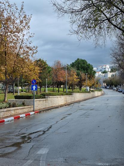 A road alongside a park with Autumn coloured trees