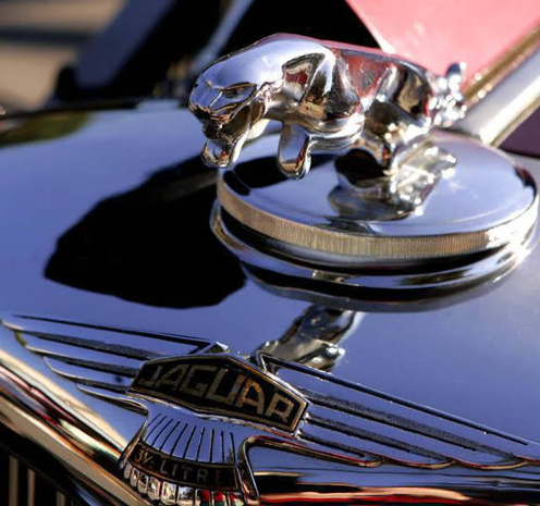 Jaguar hood ornament