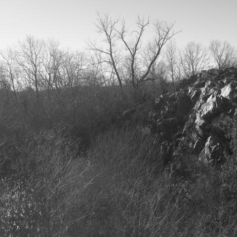 A black and white photo shows the abandoned Tide Water (also known as Old Colony) Broken Stone Co. quarry on Rock Island, Hough’s Neck, Quincy, Massachusetts, USA. Marshy ground covered with grass is at the lower left, a rock face of Mattapan Volcanics appears at the right, and bare winter trees are on the skyline above the rock. My photo.