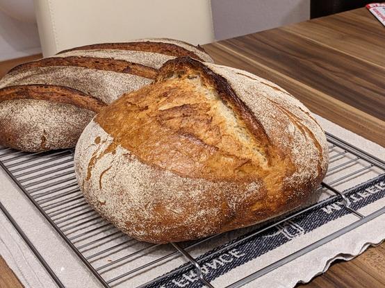 Dinkelmischbrot mit schönem Ohr, also prima aufgerissen. Nicht sehr dunkel, eher gelb. Rund und sehr hoch, fast schon eine Halbkugel.