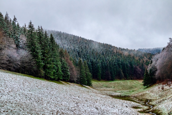 Ein zarter Hauch von Winter in den Höhen des Thüringer Waldes ☃️