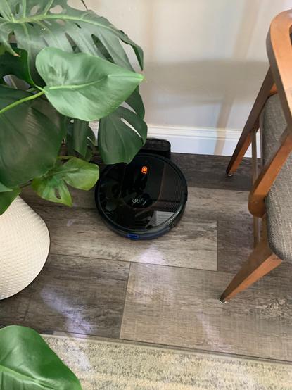 A happy robot charging under large monstera leaves.