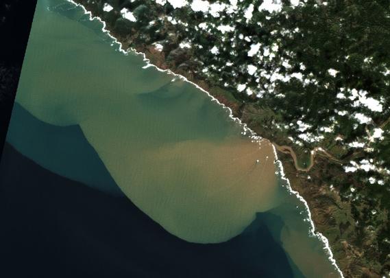 Satellite image shows a coastline with scattered clouds over land areas. There is a large tan colored sediment plume forming rounded lobes in the dark ocean water