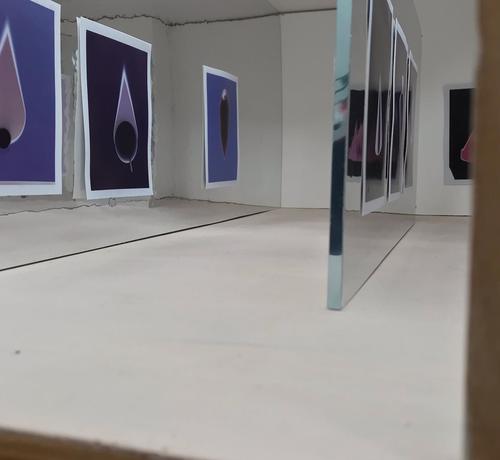Installation shot from a microgallery called One To Ten Gallery. Showing instant colour photograms mounted on mylar
