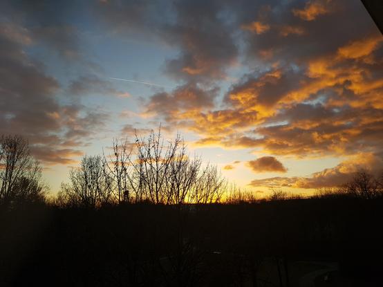 Ein Foto von einem Park beim Sonnenuntergang