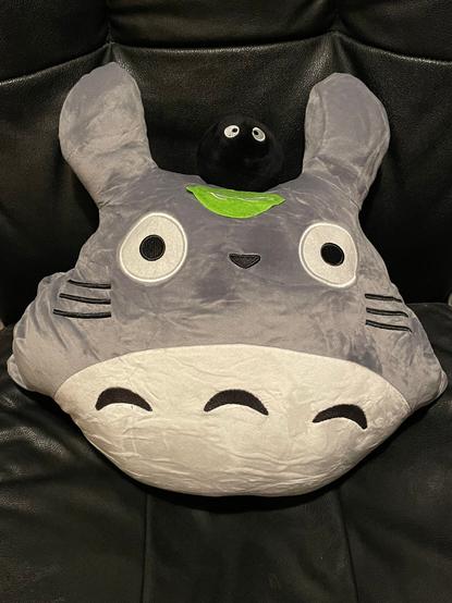 The front of the Totoro plushie.
