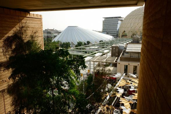 The UAE Pavilion, designed by Santiago Calatrava, at Expo 2020 Dubai. The photo is taken through the gap in a building. There are plants in the foreground and the pavilion is in the background next to the Al Wasl Dome, which edges into the right of the shot.