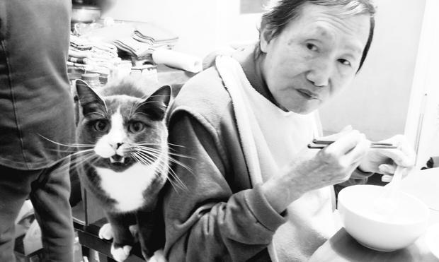 My gray tuxedo cat, standing by my Dad, on same kitchen chair chair he's sitting on, guarding him as he eats & meowing at camera. Black and white photo.