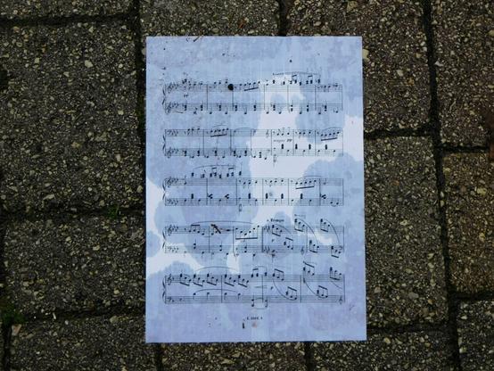 a wet music sheet left on the street
