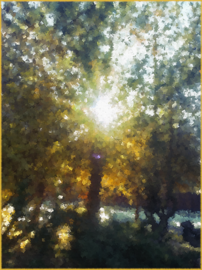 Golden Afternoon by Carl J Shoemaker