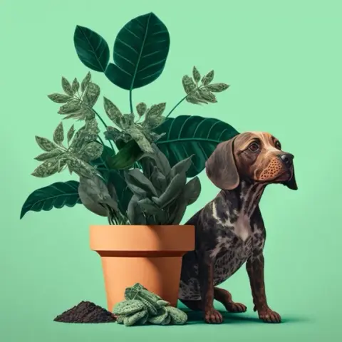 Ventajas de medir la temperatura