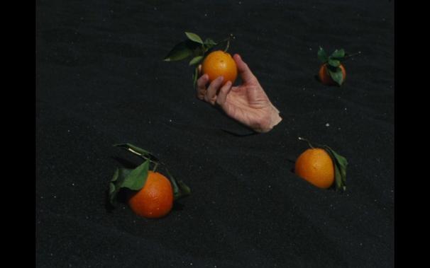 Disembodied hands holding oranges in black sands.