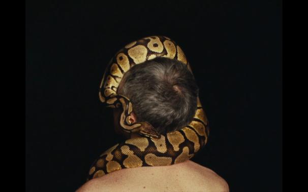 A snake wrapped around a man’s head.