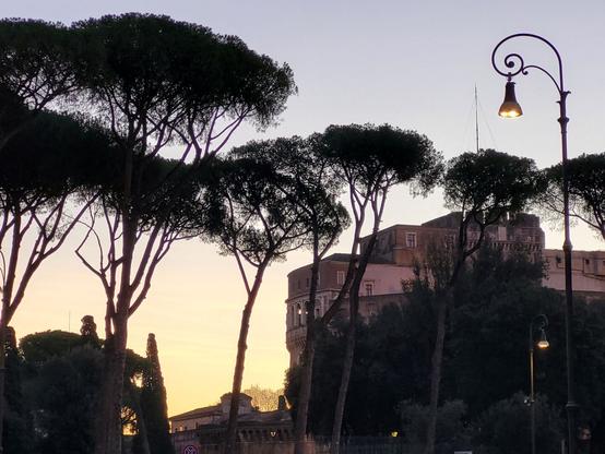 Pine trees, lamps, Castel Sant'Angelo, silhouetting on a golden and light blue sky