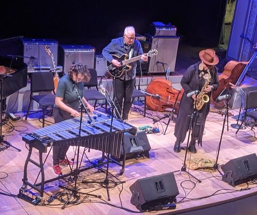 Patricia Brennan on bass, Bill Frisell on guitar, Matana Roberts on saxophone