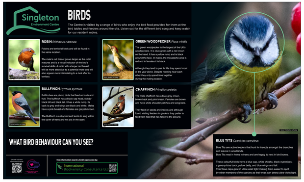A hopefully visually accessible ecology poster about birds.