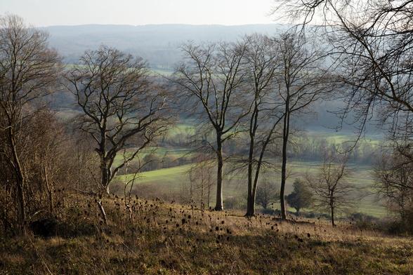 View from one hill across a valley to another hill beyond, with a line of winter trees in the middle distance.