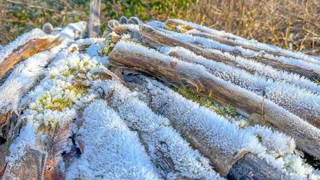Frost on logs on a bright but very cold morning, taken at Weald and Downland Living Museum near Goodwood in West Sussex.