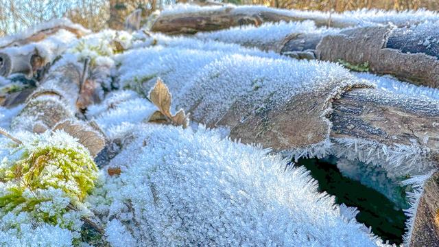 Frost on logs on a bright but very cold morning, taken at Weald and Downland Living Museum near Goodwood in West Sussex.