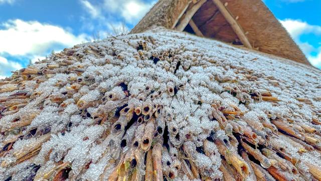 Frost on a close up of a thatched roof on a bright but very cold morning, taken at Weald and Downland Living Museum near Goodwood in West Sussex.