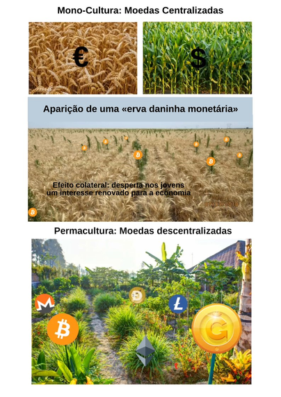 Fotos con metáfora de la MonoCultura: Monedas Centralizadas: €/$/etc.

Aparición de una "mala hierba monetaria" como efecto colateral : Bitcoin 

#Permacultura: Ecosistema de Monedas descentralizadas