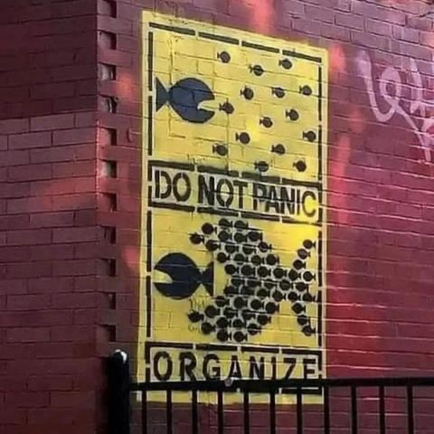 Lots of little fish being chased by big fish: do not panic
Lots of little fish organized in the shape of a VERY big fish, chasing that same big (but not as big!) fish: Organize!