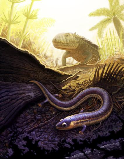 Life reconstruction of Funcusvermis gilmorei (foreground) and the crocodile relative Acaenasuchus geoffreyi (background) in the tropical forest of Petrified Forest National Park about 220 million years ago. By Andrey Atuchin.