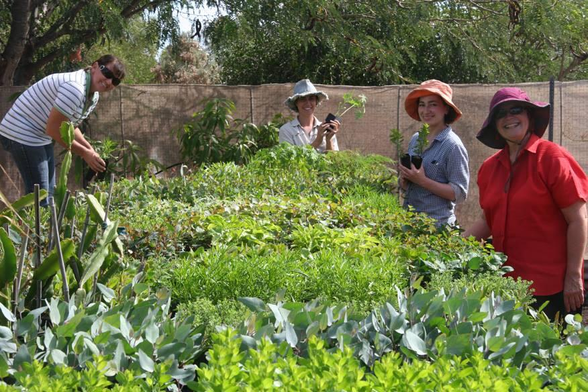 Dryland Permaculture Image