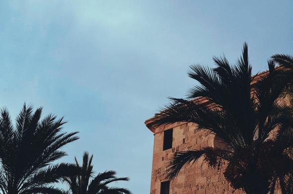 Imagen en la que se ve, en primer plano, dos palmeras, y al fondo, un edificio de piedra. El cielo es azul oscuro, casi gris.