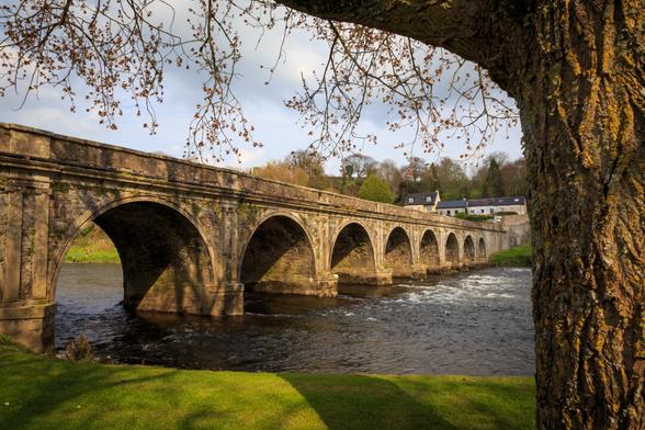 An imposing, ten arch bridge over a river, framed on the right by a tree.