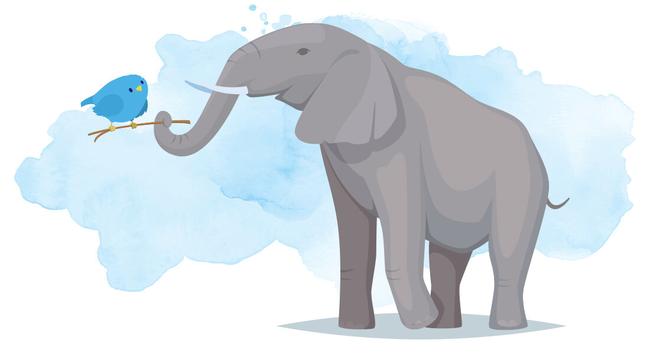 A watercolor painting of a grey elephant holding a stick in its trunk. Sitting on the stick is a little bluebird that look's suspiciously like Ollie the Twitterrific bird.