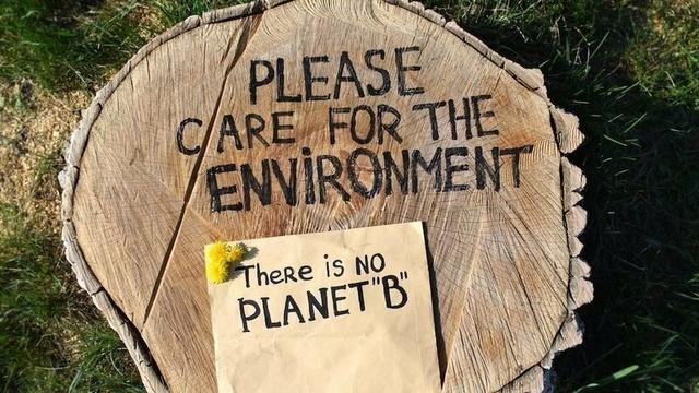 Please Care for the Environment painted on old growth cookie cut  - There is no Planet B note tacked on.