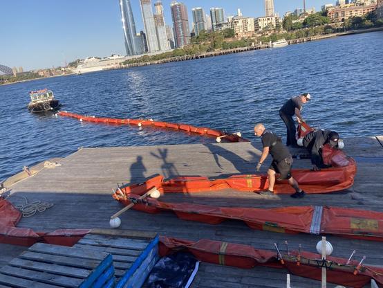 Launching the eel