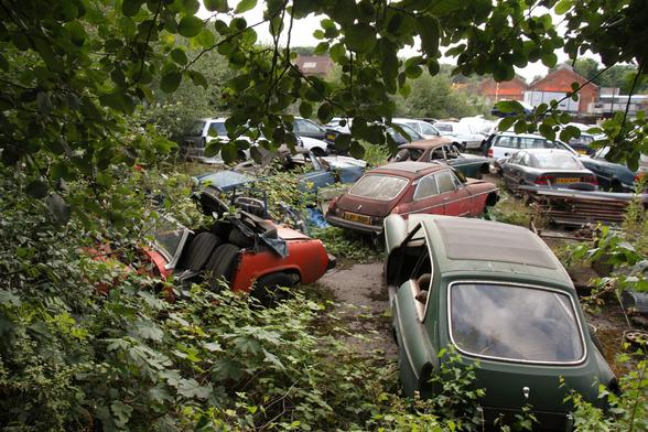 A variety of abandoned cars, including some old sports cars, haphazardly arranged and slowly being engulfed by brambles and other vegetation. Old brick warehouses lurk in the distance.