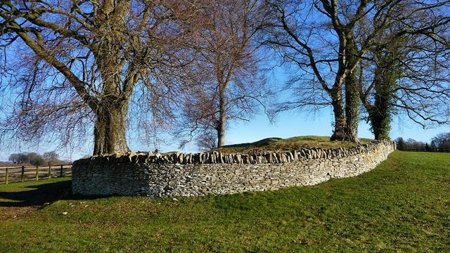 A long mound, covered with grass and enclosed inside a neat drystone wall. The top of the mound has mature beech trees growing from it, leafless in winter. It's a very bright and sunny day, the sky is an intense, clear blue. It's cold.